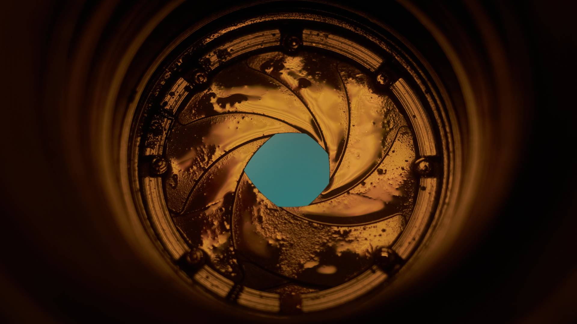 Do oily aperture blades on the Helios 44-2 actually affect image quality?